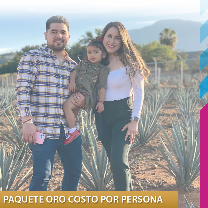 Paquete Oro - Imagen 2