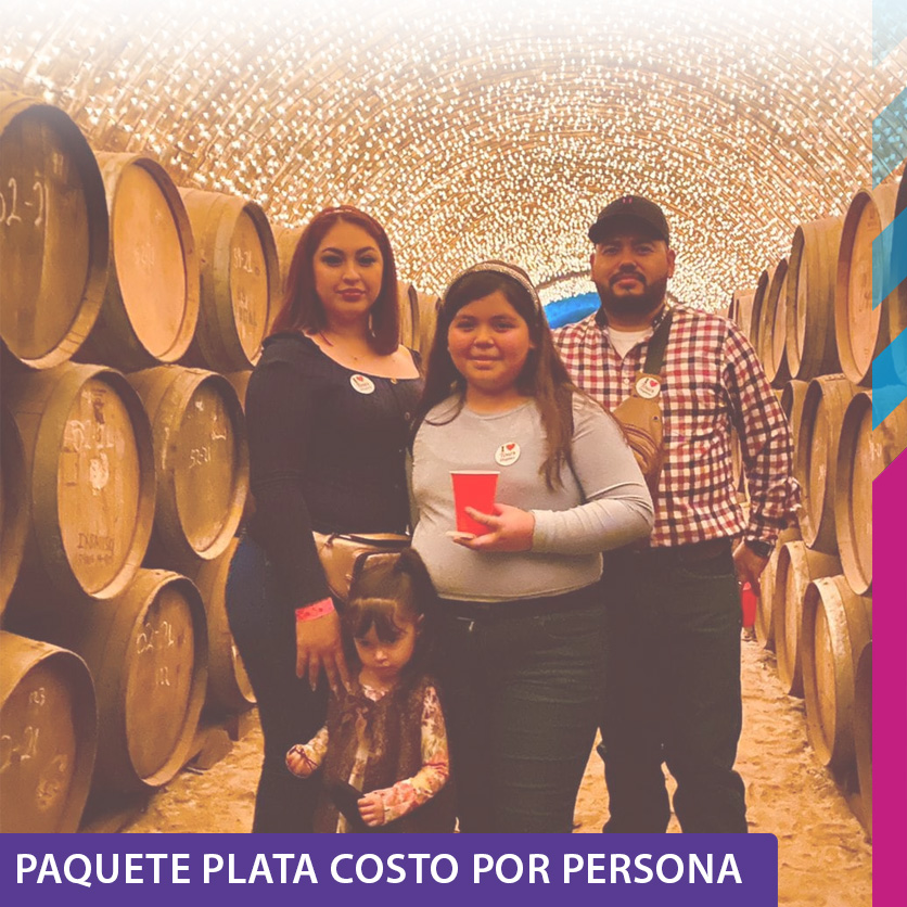 Paquete Plata - Imagen 2