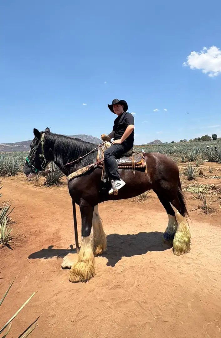 recorrido turisto a tequila desde guadalajara somos tours elegance 2